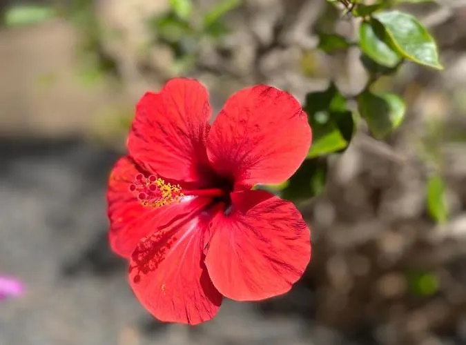 Apartment Surf And Chill 70 Parque Holandes